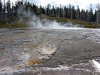 Yellowstone Old faithfull et ses environs (72).JPG